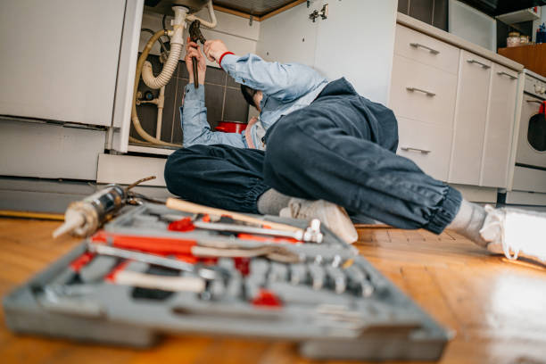 Best Plumbing Inspection Services  in Panthersville, GA